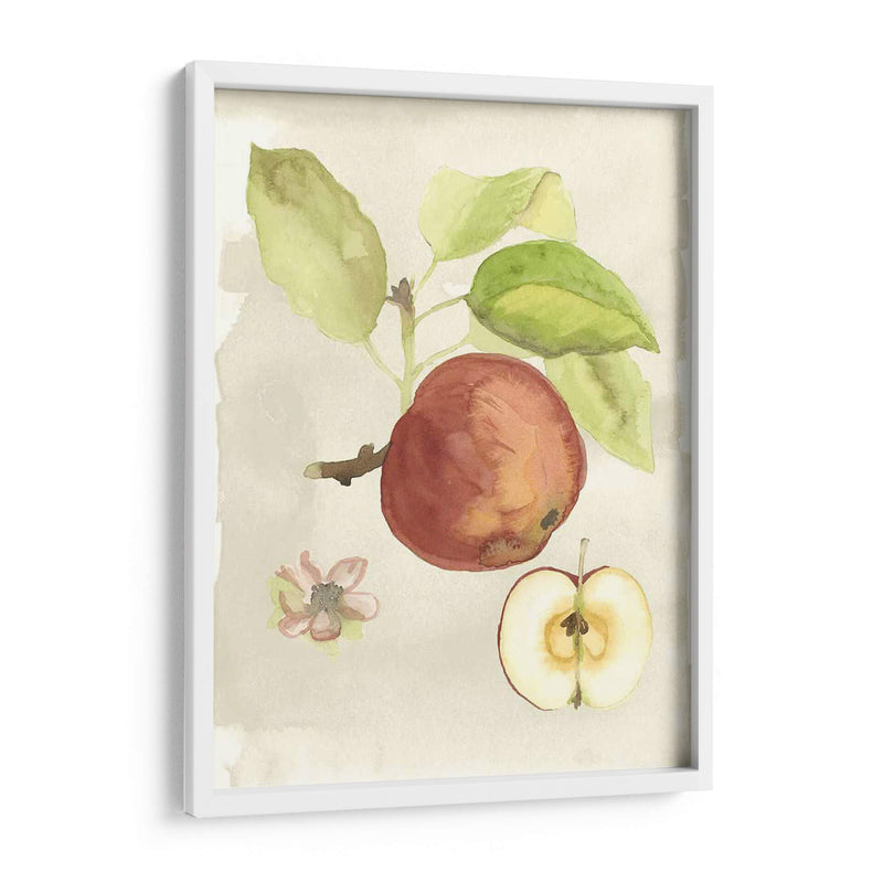 Acuarela Personalizada Fruta Iv (Ash) - Naomi McCavitt | Cuadro decorativo de Canvas Lab