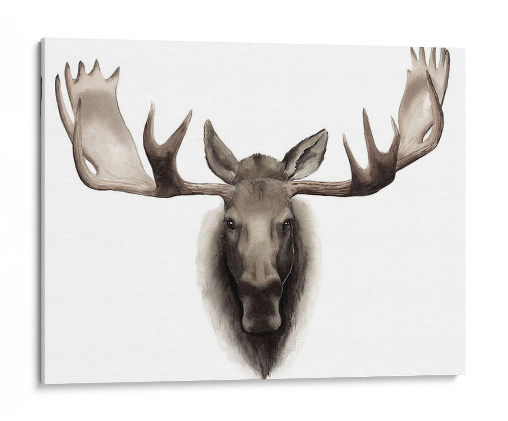 Moose Individual Personalizado - Grace Popp | Cuadro decorativo de Canvas Lab