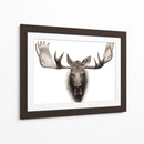 Moose Individual Personalizado - Grace Popp | Cuadro decorativo de Canvas Lab