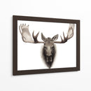 Moose Individual Personalizado - Grace Popp | Cuadro decorativo de Canvas Lab
