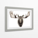 Moose Individual Personalizado - Grace Popp | Cuadro decorativo de Canvas Lab