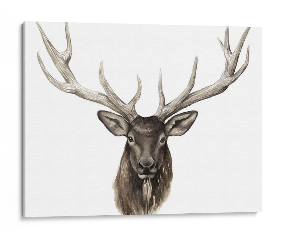 Alces Individuales Personalizados - Grace Popp | Cuadro decorativo de Canvas Lab