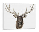 Alces Individuales Personalizados - Grace Popp | Cuadro decorativo de Canvas Lab