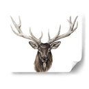 Alces Individuales Personalizados - Grace Popp | Cuadro decorativo de Canvas Lab