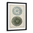 Océano De Encargo Rareza I - Vision Studio | Cuadro decorativo de Canvas Lab