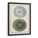 Océano De Encargo Rareza I - Vision Studio | Cuadro decorativo de Canvas Lab