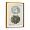 Océano De Encargo Rareza I - Vision Studio | Cuadro decorativo de Canvas Lab