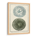 Océano De Encargo Rareza I - Vision Studio | Cuadro decorativo de Canvas Lab