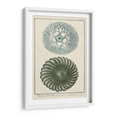 Océano De Encargo Rareza I - Vision Studio | Cuadro decorativo de Canvas Lab