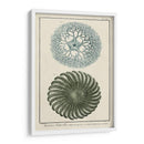 Océano De Encargo Rareza I - Vision Studio | Cuadro decorativo de Canvas Lab