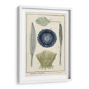 Océano Personalizado Rareza Ii - Vision Studio | Cuadro decorativo de Canvas Lab
