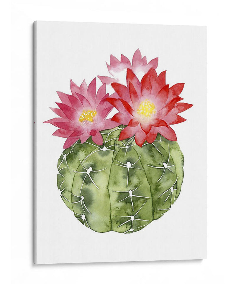 Cactus Personalizado Bloom Iii - Grace Popp | Cuadro decorativo de Canvas Lab