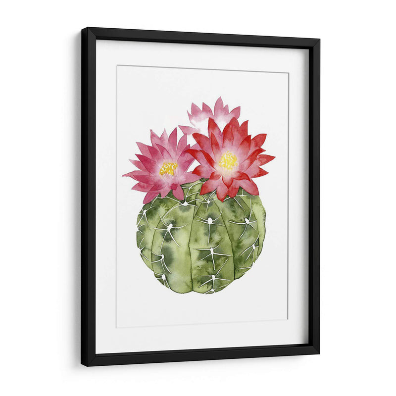 Cactus Personalizado Bloom Iii - Grace Popp | Cuadro decorativo de Canvas Lab