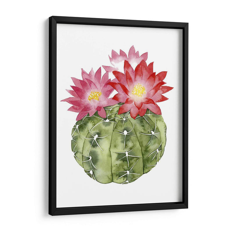 Cactus Personalizado Bloom Iii - Grace Popp | Cuadro decorativo de Canvas Lab