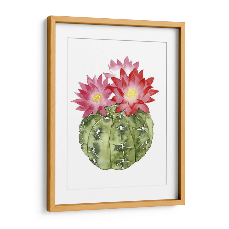 Cactus Personalizado Bloom Iii - Grace Popp | Cuadro decorativo de Canvas Lab