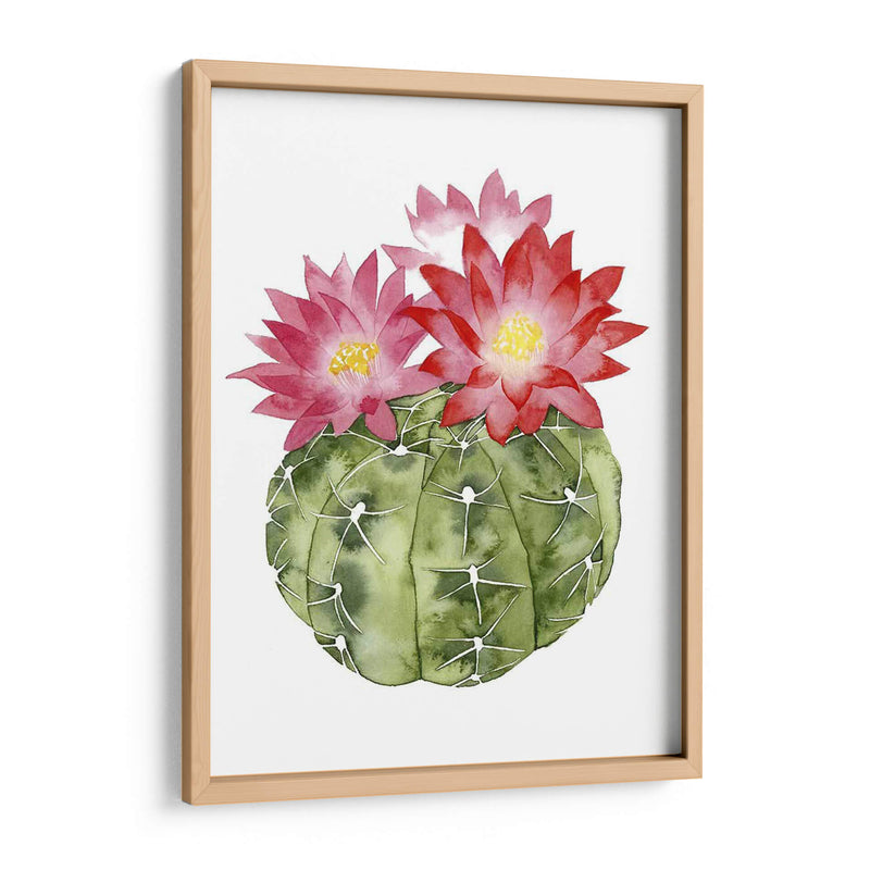 Cactus Personalizado Bloom Iii - Grace Popp | Cuadro decorativo de Canvas Lab