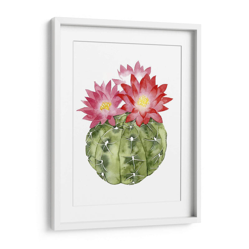 Cactus Personalizado Bloom Iii - Grace Popp | Cuadro decorativo de Canvas Lab