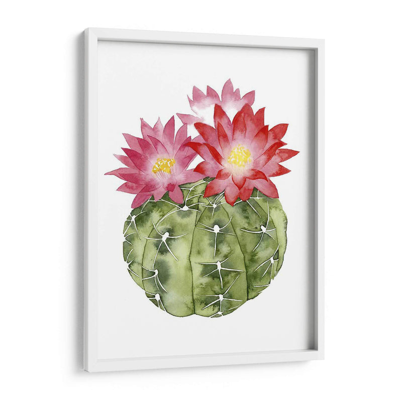 Cactus Personalizado Bloom Iii - Grace Popp | Cuadro decorativo de Canvas Lab