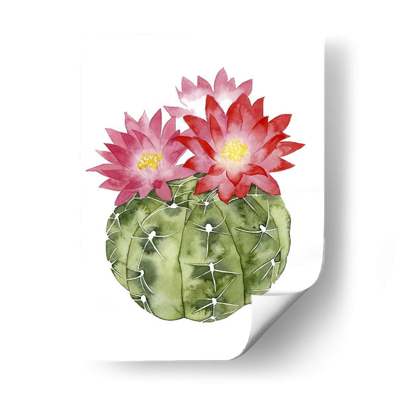 Cactus Personalizado Bloom Iii - Grace Popp | Cuadro decorativo de Canvas Lab