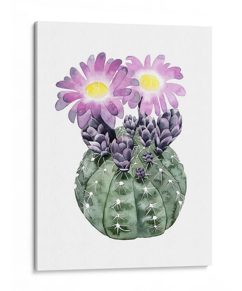 Cactus Personalizado Bloom Iv - Grace Popp | Cuadro decorativo de Canvas Lab