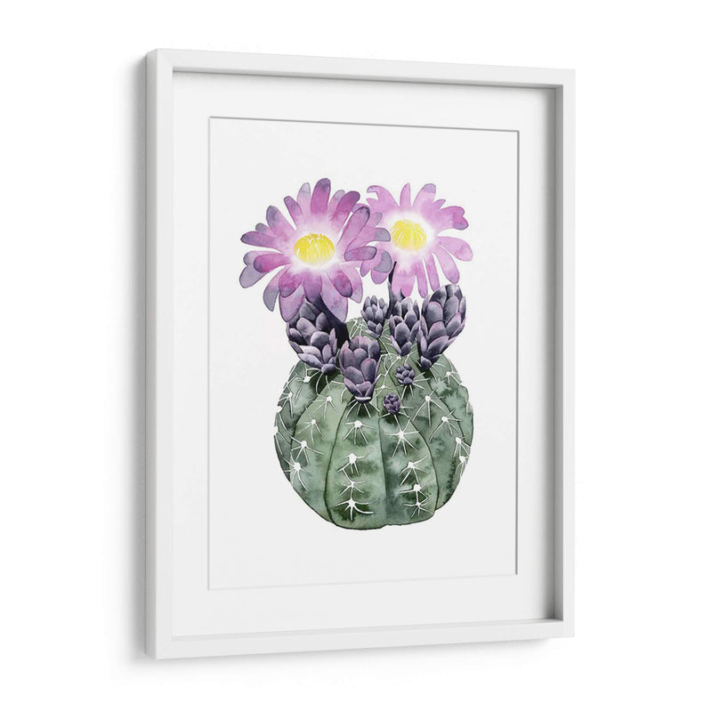 Cactus Personalizado Bloom Iv - Grace Popp | Cuadro decorativo de Canvas Lab