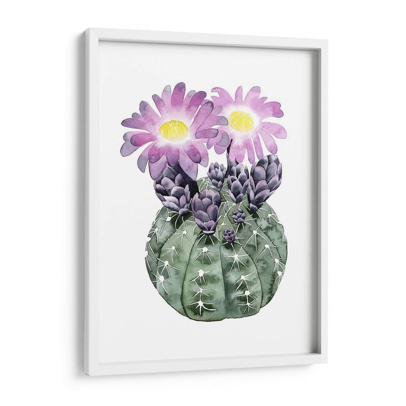 Cactus Personalizado Bloom Iv - Grace Popp | Cuadro decorativo de Canvas Lab