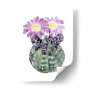 Cactus Personalizado Bloom Iv - Grace Popp | Cuadro decorativo de Canvas Lab