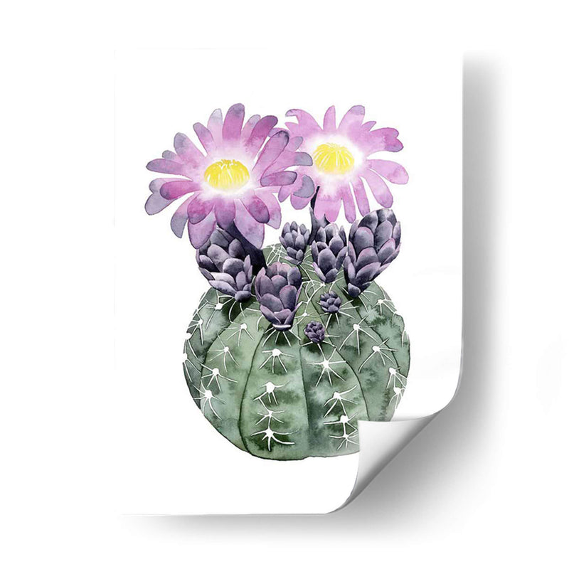 Cactus Personalizado Bloom Iv - Grace Popp | Cuadro decorativo de Canvas Lab