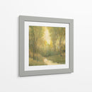 Santuario Del Bosque I-II - Tim OToole | Cuadro decorativo de Canvas Lab