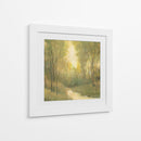 Santuario Del Bosque I-II - Tim OToole | Cuadro decorativo de Canvas Lab