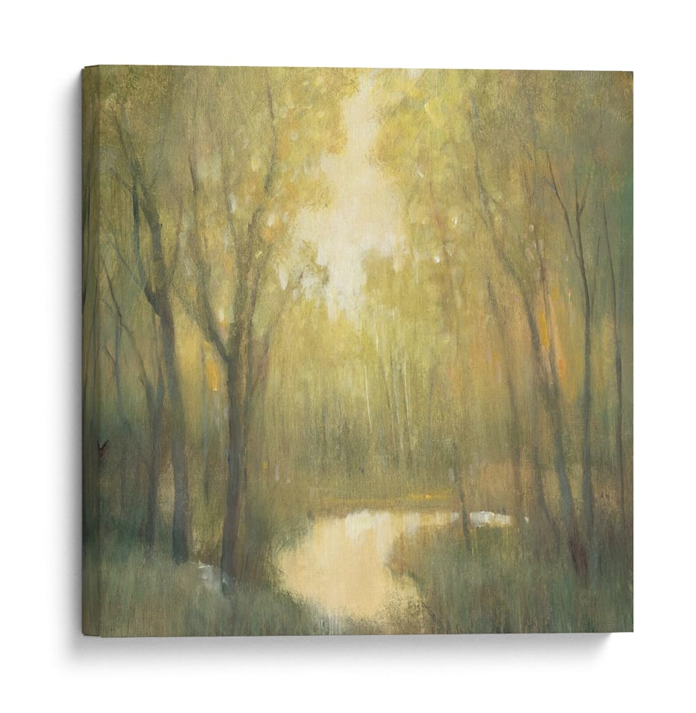 Santuario Forestal II-II - Tim OToole | Cuadro decorativo de Canvas Lab