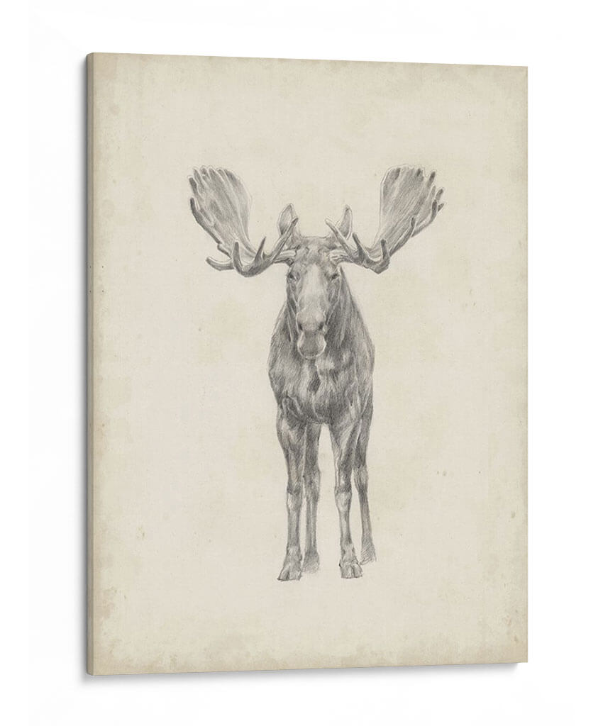 Estudio De Alces Personalizados 40X30 - Ethan Harper | Cuadro decorativo de Canvas Lab