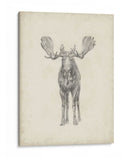 Estudio De Alces Personalizados 40X30 - Ethan Harper | Cuadro decorativo de Canvas Lab