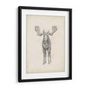 Estudio De Alces Personalizados 40X30 - Ethan Harper | Cuadro decorativo de Canvas Lab