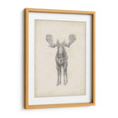 Estudio De Alces Personalizados 40X30 - Ethan Harper | Cuadro decorativo de Canvas Lab