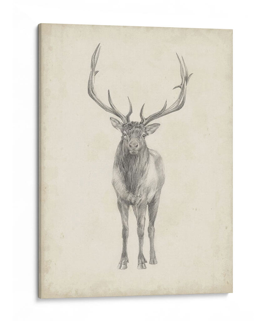 40X30 Estudia De Alces Personalizado - Ethan Harper | Cuadro decorativo de Canvas Lab