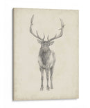 40X30 Estudia De Alces Personalizado - Ethan Harper | Cuadro decorativo de Canvas Lab