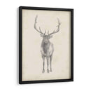 40X30 Estudia De Alces Personalizado - Ethan Harper | Cuadro decorativo de Canvas Lab