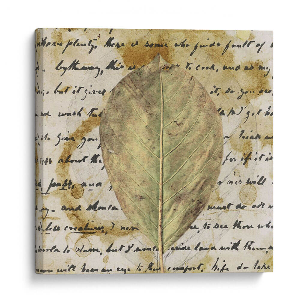Hoja Tierra Ii - Alonzo Saunders | Cuadro decorativo de Canvas Lab