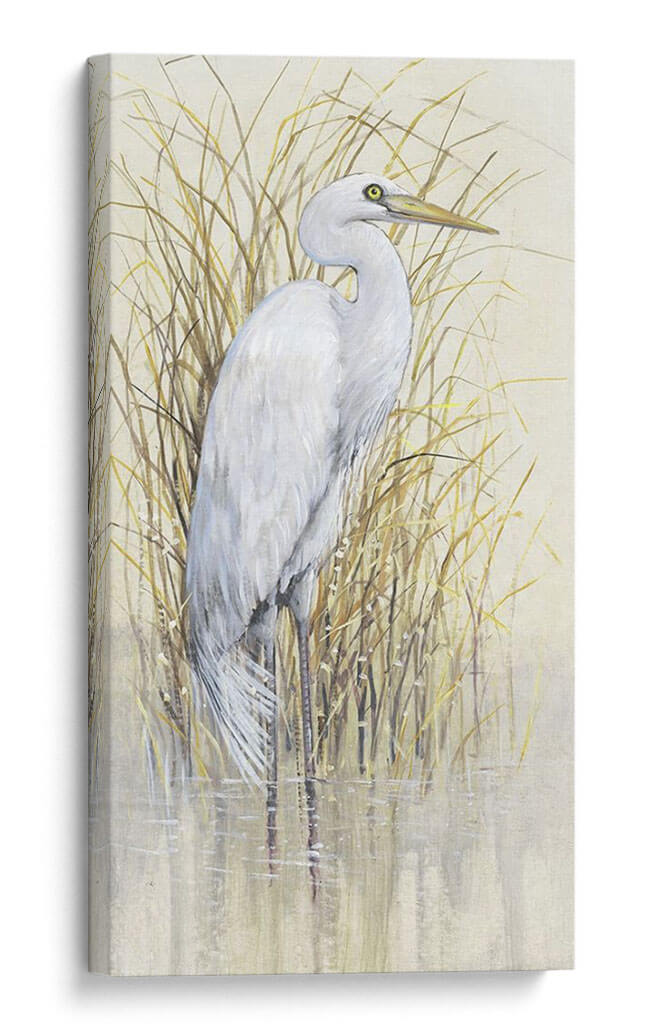 Wading I - Tim OToole | Cuadro decorativo de Canvas Lab