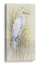 Wading I - Tim OToole | Cuadro decorativo de Canvas Lab