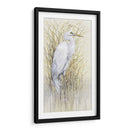 Wading I - Tim OToole | Cuadro decorativo de Canvas Lab