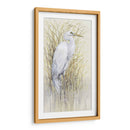 Wading I - Tim OToole | Cuadro decorativo de Canvas Lab