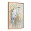 Wading I - Tim OToole | Cuadro decorativo de Canvas Lab