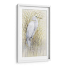 Wading I - Tim OToole | Cuadro decorativo de Canvas Lab