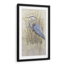 Wading Ii - Tim OToole | Cuadro decorativo de Canvas Lab