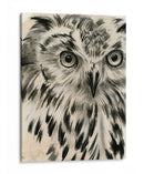 Búho De Carbón - Jennifer Paxton Parker | Cuadro decorativo de Canvas Lab