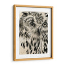 Búho De Carbón - Jennifer Paxton Parker | Cuadro decorativo de Canvas Lab