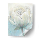 Inglés Rose I - Tim OToole | Cuadro decorativo de Canvas Lab