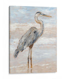 Playa Heron I - Ethan Harper | Cuadro decorativo de Canvas Lab